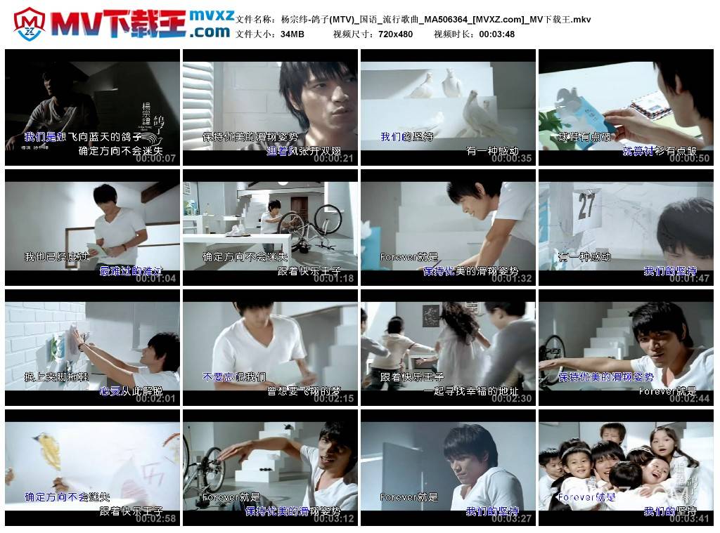 杨宗纬-鸽子(MTV)_国语_流行歌曲_MA506364